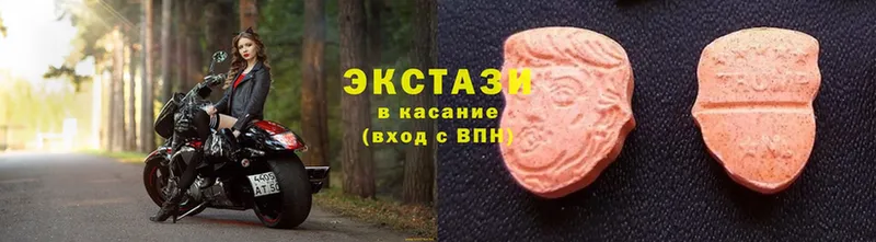 Ecstasy TESLA  где можно купить наркотик  Камышлов 